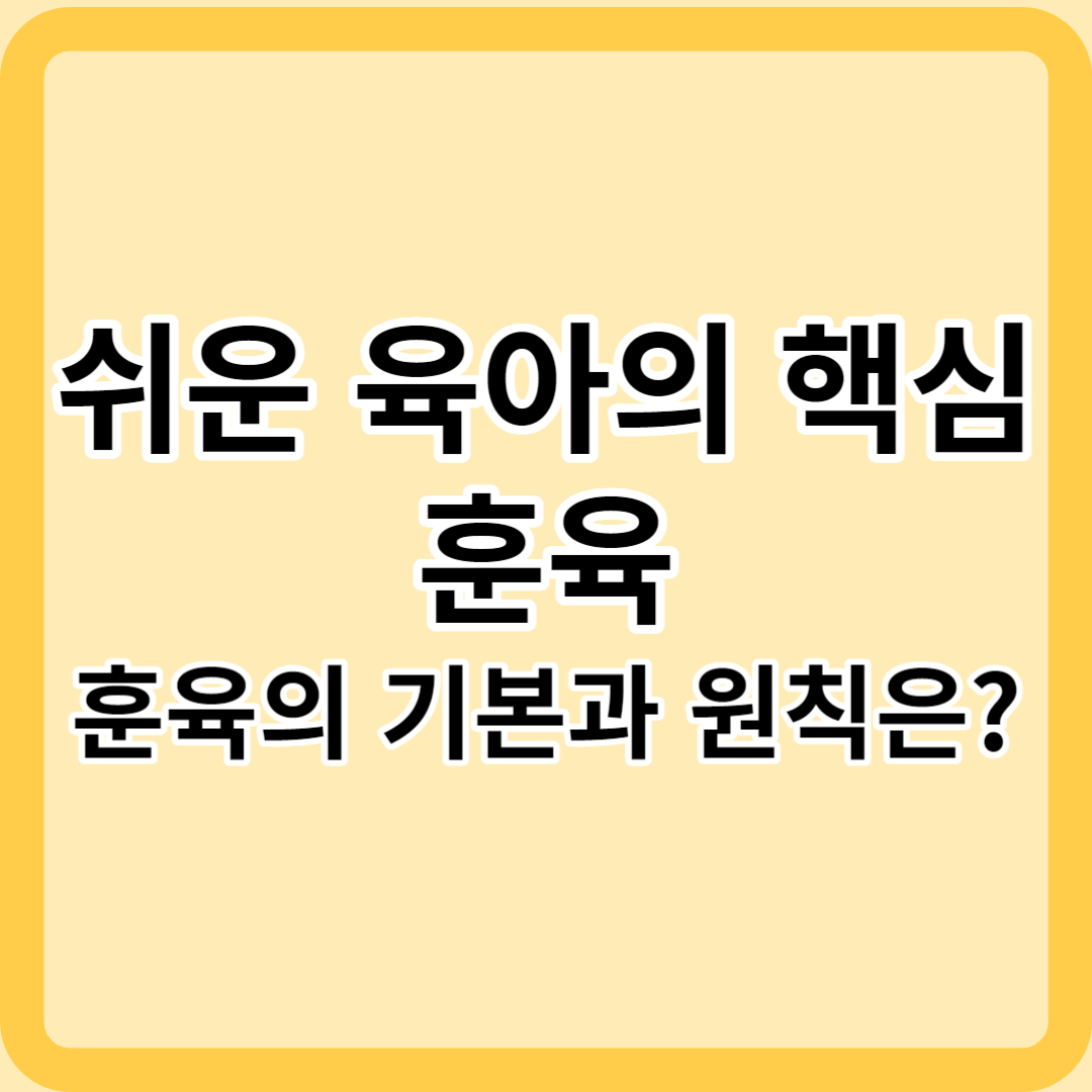 쉬운 육아의 핵심, 훈육! 훈육의 기본과 원칙은?