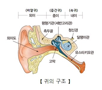 아기 귀에 물이 들어갔을때 어떻게 해야할까?