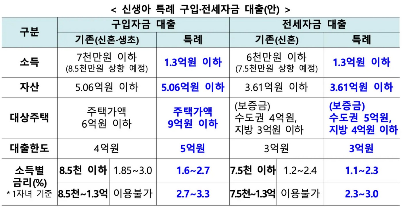 신생아 특례 대출 자격요건을 설명하는 표